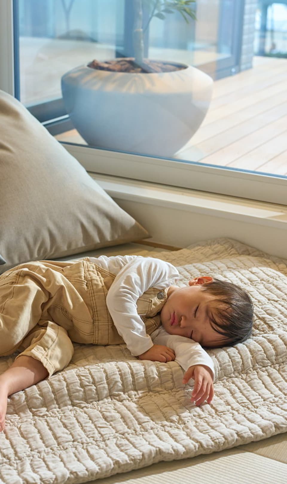 メインビジュアル画像