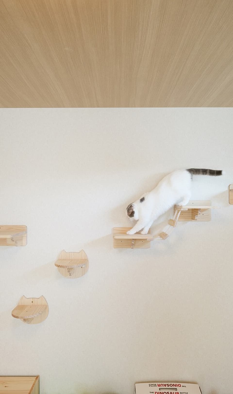 メインビジュアル画像